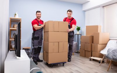 State to State Move